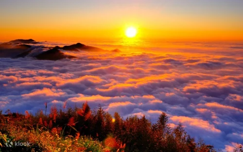 Spectacular golden sunrise over the famous Alishan sea of clouds