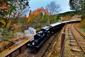 Alishan National Forest Recreation Area