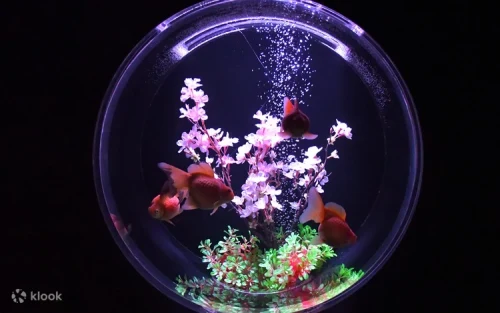 Cascading Goldfish Waterfall with vibrant lighting in Tokyo