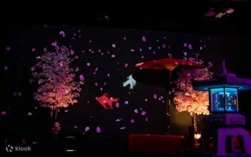 Seasonal cherry blossom decorations and rare Sakura Goldfish