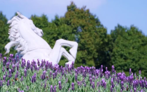 Beautiful European Palace Garden blooming during the spring season