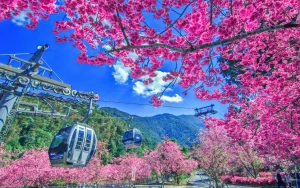 Formosan Aboriginal Culture Village Admission & Ropeway
