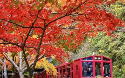 Thousands of vibrant red Senbon Torii gates at Fushimi Inari Shrine