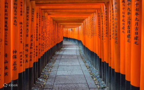Professional bilingual tour guide leading a sightseeing group in Japan
