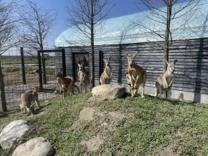 Lanyang Animal and Plant Kingdom