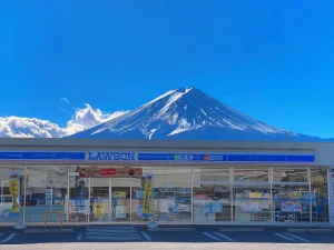 Mount Fuji Scenic Spots One-Day Tour from Tokyo