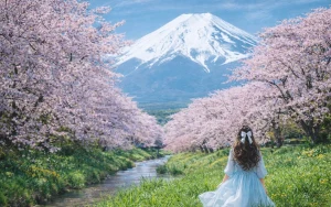 Mt. Fuji Day Tour: 5th Station, Arakurayama Sengen Park & Matcha Experience