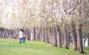 Nami Island Admission Ticket