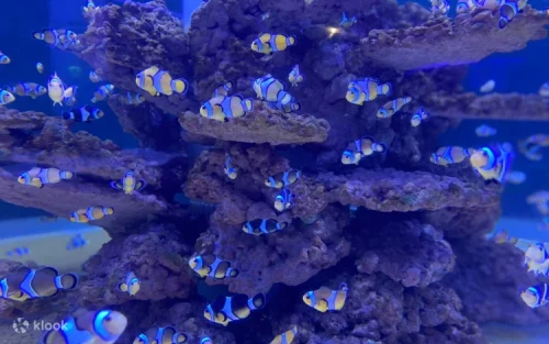 Fascinating ship and deep ocean science displays at NMMST