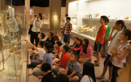 Interactive science exhibits in the Hall of Life Sciences