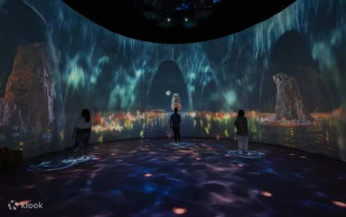 Interactive digital seascape projections at the Shaw Foundation Glass Rotunda