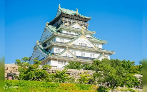Vibrant cherry blossoms blooming beautifully in Osaka Castle Park.