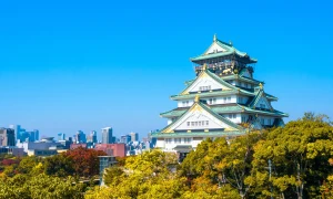 Osaka Castle Admission Ticket