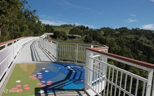 Tourists strolling along the elevated 1.6-kilometer Qingjing Skywalk