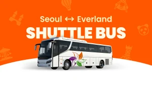 Seoul to Everland & Caribbean Bay Shuttle Bus