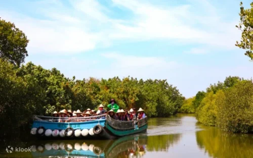 Passengers riding a bamboo raft through the lush mangrove forest