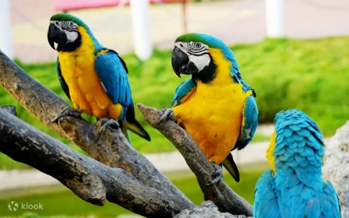 Summer fun at the Oasis Water Park inside Wanpi World Zoo