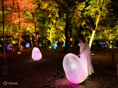 Interactive light installations reflecting on Oike Lake in Osaka
