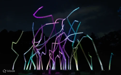 Visitors walking through illuminated digital art in the dark