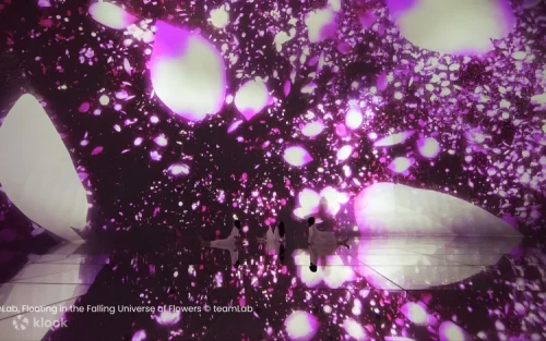Walking barefoot through colorful digital koi ponds at teamLab Planets