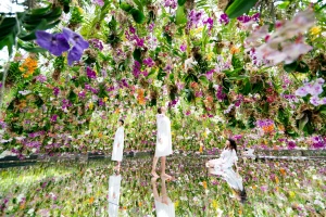 teamLab Planets TOKYO