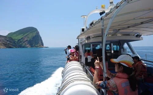Playful dolphins swimming alongside the boat near Guishan Island.