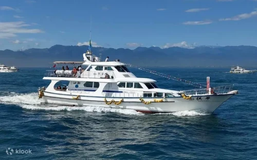 Expert guide explaining the rich history and marine life of Yilan's coast.