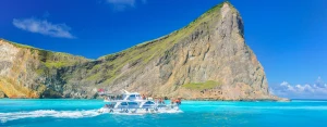 Guishan Island Half-Day Whale Watching Tour