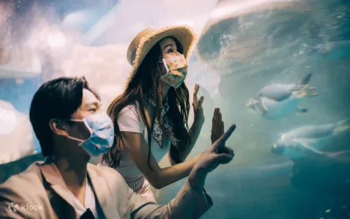 Walking through Southeast Asia's longest underwater tunnel in Kenting