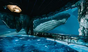 National Museum of Marine Biology & Aquarium