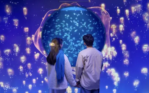 Mesmerizing jellyfish illuminated by colorful lights in the Healing Jellyfish exhibit