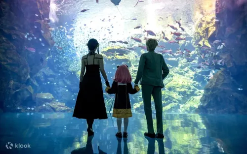 Massive Formosa tank showcasing diverse marine life of the Taiwanese coast