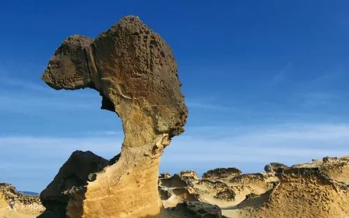 Unique honeycomb and mushroom rocks along the New Taipei coast