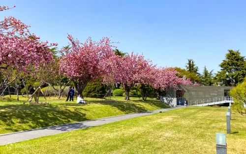 搭乘海雲台藍線公園的絕美海岸列車