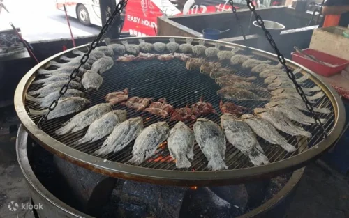 Restored Taiwan shoveljaw carp swimming in Danaiku Creek