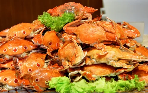 Exquisite desserts and international cuisine buffet spread