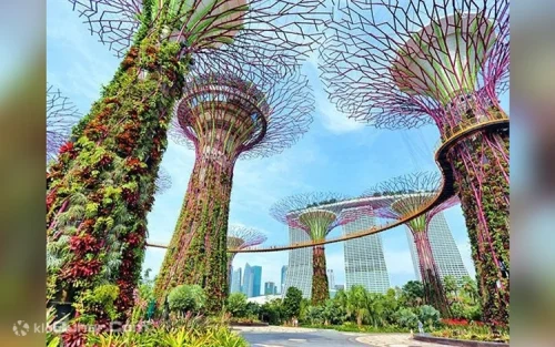 Guided group exploring the beautiful waterfront promenade in Singapore