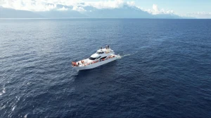 Hualien Venus Whale Watching Luxury Yacht Experience