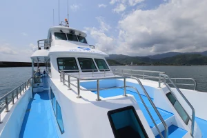 Hualien Whale Watching Boat Tour