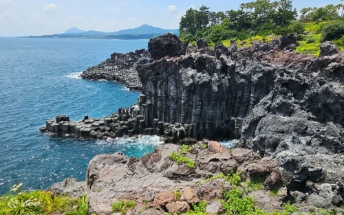 Lush green tea fields and open island landscapes of SouthWest Jeju.