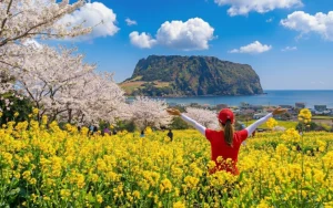 Jeju Island UNESCO & Essential Highlights Day Tour
