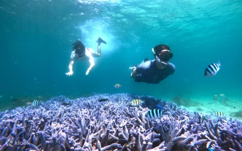 Sending a waterproof postcard at the famous underwater mailbox
