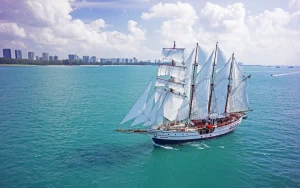 Royal Albatross City Lights & Sunset Dinner Cruise