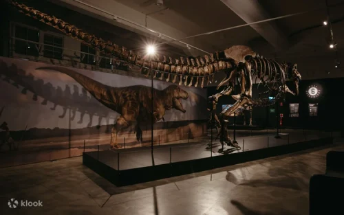 Interactive displays showing Earth's geological history and mass extinctions