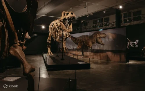 Families exploring ancient genetic links and environmental changes