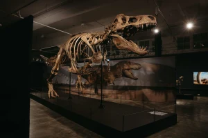 Science Centre Singapore: Extinctions Exhibition