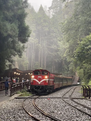 Taichung to Alishan National Forest One-Day Small Group Tour