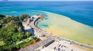 Taipei Jiufen & Northeast Coast Half-Day Private Tour