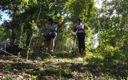 Adventurer soaring on a zipline through the lush subtropical forest canopy in Hualien.