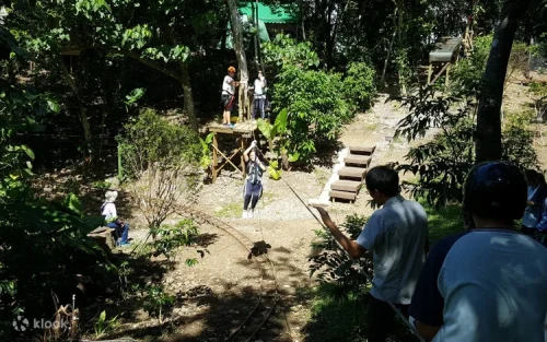 Professional instructor guiding a group through the treetop obstacle course in Taiwan.
